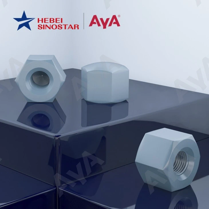 Hex Cap Dome Nuts-AYA